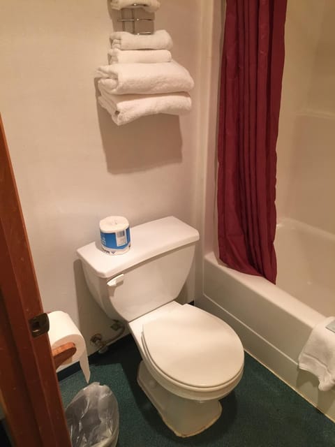 Combined shower/tub, free toiletries, hair dryer, towels