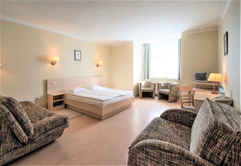 Superior Double or Twin Room | Desk, soundproofing, iron/ironing board, free WiFi