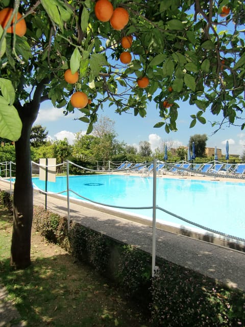 Outdoor pool, sun loungers