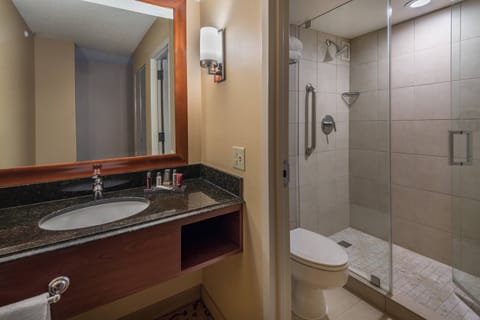 Combined shower/tub, free toiletries, hair dryer, towels