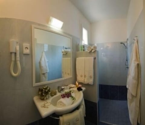 Shower, free toiletries, hair dryer, bidet