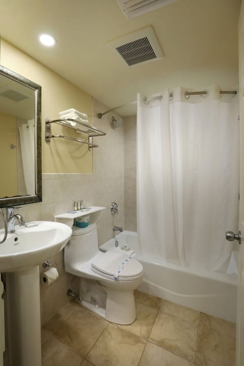 Combined shower/tub, free toiletries, hair dryer, towels