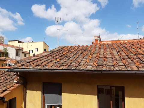 Deluxe Double Room, City View (Piazza Pitti) | View from room