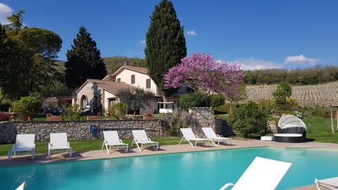 Seasonal outdoor pool, sun loungers