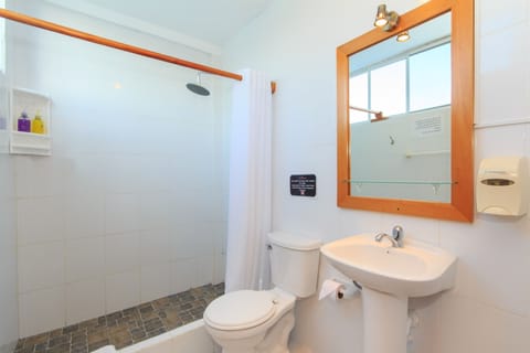 Premium Triple Room, Balcony, Ocean View | Bathroom | Shower, hair dryer, towels, soap