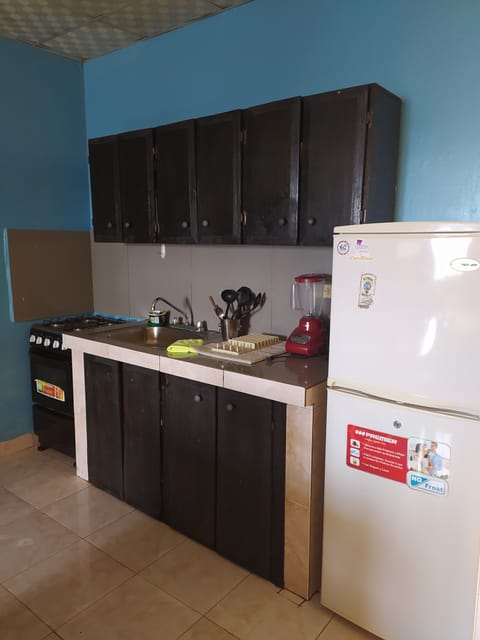 Standard Apartment, City View, Ground Floor | Private kitchen | Full-size fridge, blender, cookware/dishes/utensils, dining tables