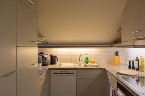 City Apartment, 2 Bedrooms | Private kitchen | Fridge, oven, stovetop, dishwasher