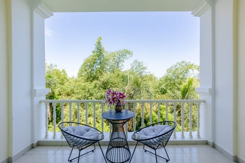 Deluxe Double Room, Balcony | View from room