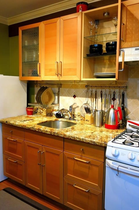 Luxury Apartment, City View, Executive Level | Private kitchen | Full-size fridge, microwave, oven, stovetop