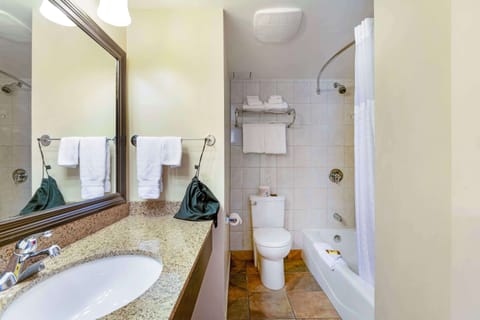 Suite, 1 Queen Bed, Non Smoking, Kitchen (with Sofabed) | Bathroom | Combined shower/tub, free toiletries, hair dryer, towels