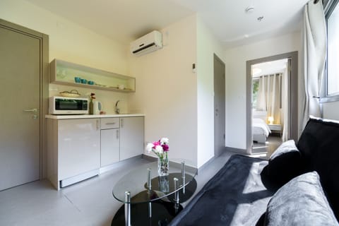 Apartment, 1 Bedroom, City View | Living area | Flat-screen TV