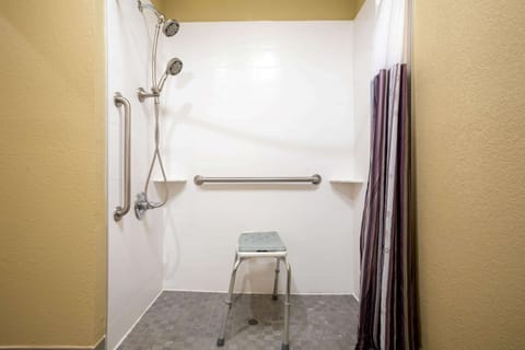 Deluxe Room, 1 King Bed, Accessible, City View (Mobility) | Bathroom shower