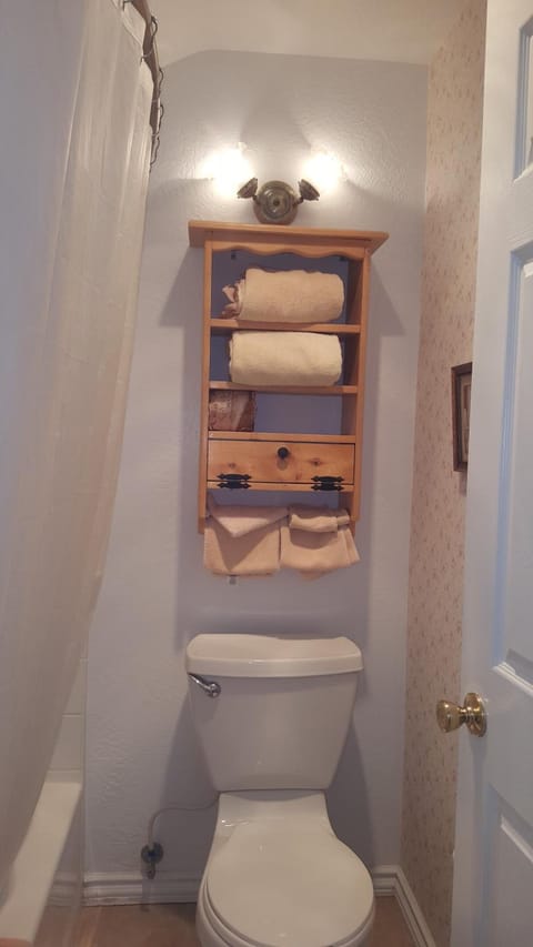 Combined shower/tub, free toiletries, hair dryer, towels