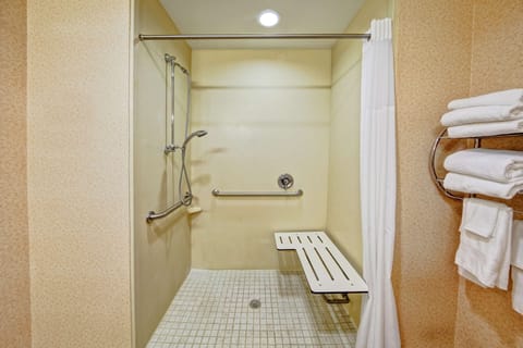 Room, 1 King Bed, Accessible (Roll-In Shower) | Bathroom shower