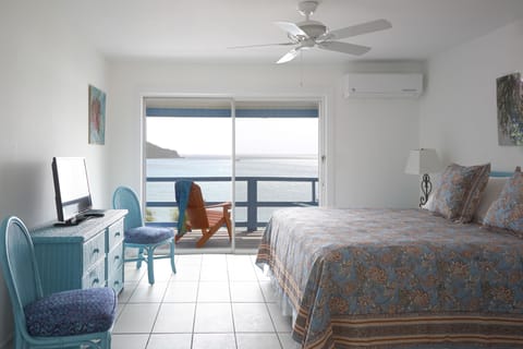 Deluxe Room, 1 King Bed, Ocean View | View from room