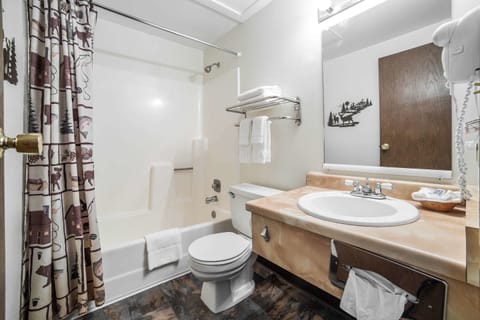 Standard Room, 1 King Bed, Non Smoking | Bathroom | Combined shower/tub, hair dryer, towels