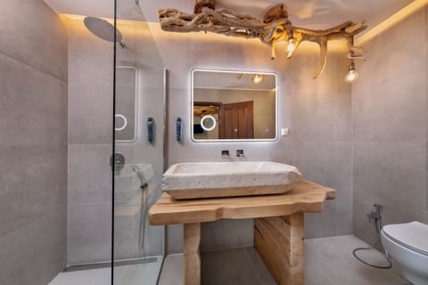 Exclusive Room | Bathroom | Shower, hydromassage showerhead, free toiletries, hair dryer