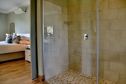 Deluxe Room (Deluxe Suite) | Bathroom shower