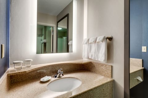 Suite, 1 King Bed with Sofa bed | Bathroom | Combined shower/tub, free toiletries, hair dryer, towels