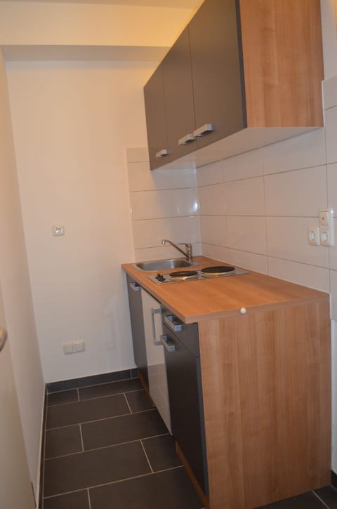 Premium Triple Room | Private kitchenette | Cookware/dishes/utensils