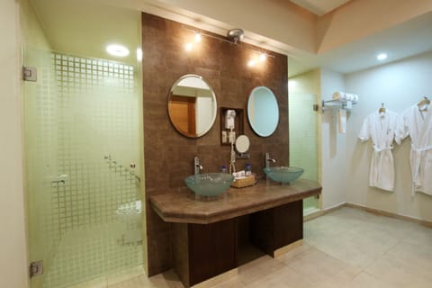 Deluxe Suite | Bathroom | Shower, rainfall showerhead, free toiletries, hair dryer