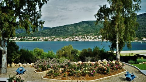 Apartment, Sea View (Panoramic) | View from room