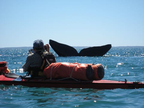 Kayaking