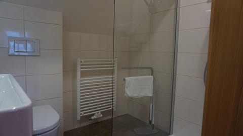 Shower, free toiletries, hair dryer, towels