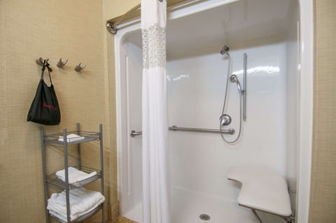 Room, 1 King Bed, Accessible, Non Smoking | Bathroom shower