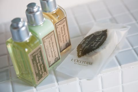 Shower, free toiletries, hair dryer, slippers