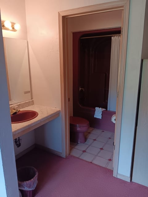 Room, 1 King Bed, Jetted Tub, Ground Floor | Bathroom | Combined shower/tub, hair dryer, towels