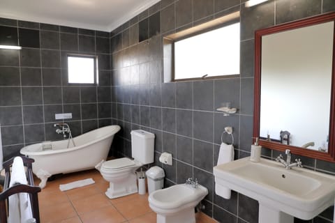 Panoramic Penthouse | Bathroom | Free toiletries, hair dryer, towels