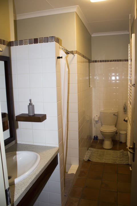 Twin Room | Bathroom | Shower, towels