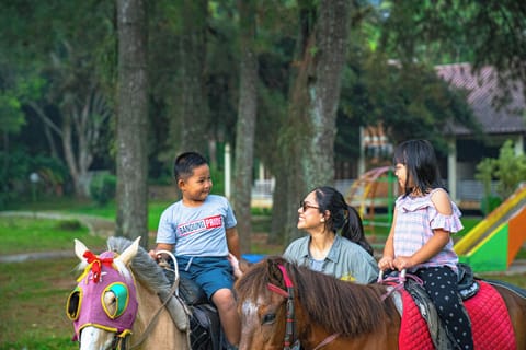 Horseback riding