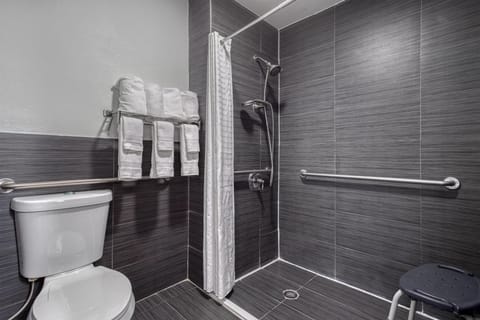 Suite, 1 King Bed, Accessible, Non Smoking | Bathroom | Free toiletries, hair dryer, towels, soap