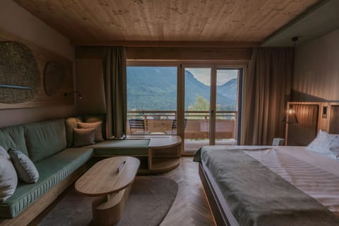 Superior Double Room (Dachstein) | Hypo-allergenic bedding, minibar, in-room safe, desk