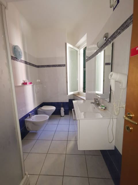 Deluxe Double Room | Bathroom | Shower, free toiletries, hair dryer, bidet