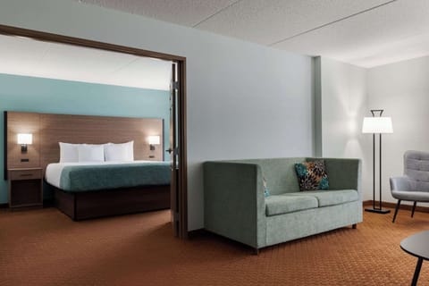 Deluxe Suite, 1 King Bed, Non Smoking (One-Bedroom) | Premium bedding, in-room safe, desk, blackout drapes