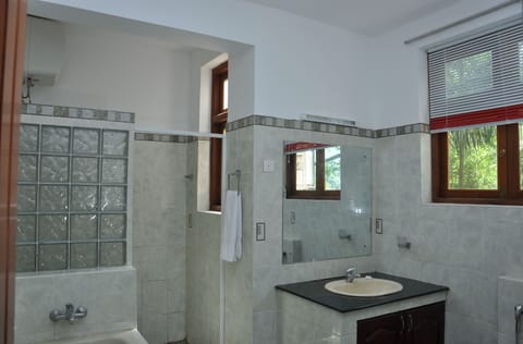 Deluxe Triple Room, River View | Bathroom | Shower, rainfall showerhead, hair dryer, bidet