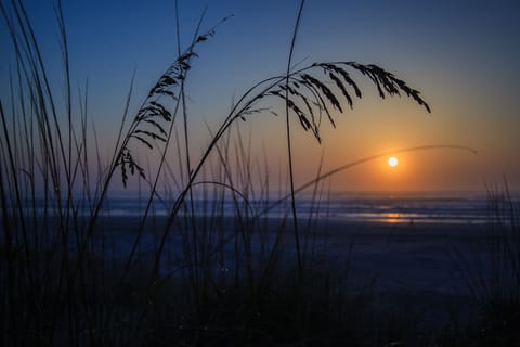 Beach nearby, white sand