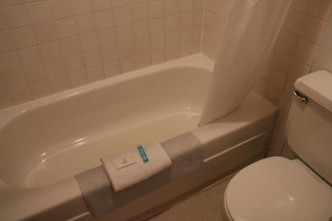 Combined shower/tub, free toiletries, towels