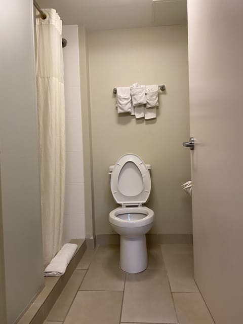 Combined shower/tub, hair dryer, towels