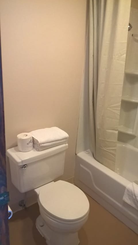 Deluxe Room, 1 King Bed, Refrigerator & Microwave | Bathroom | Free toiletries, towels