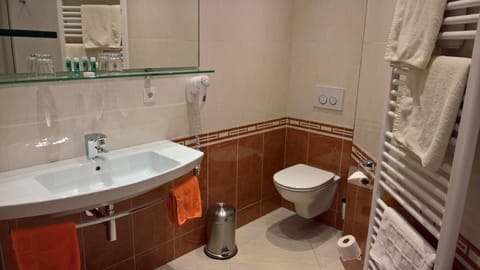 Double Room | Bathroom | Shower, hair dryer, towels