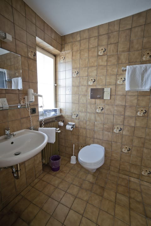 Single Room, 1 Bedroom | Bathroom | Shower, free toiletries, hair dryer, towels