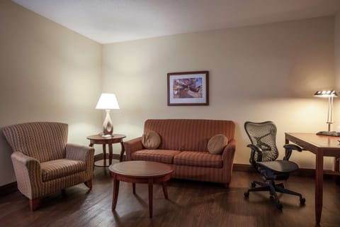 Suite, 1 King Bed | In-room safe, desk, iron/ironing board, free cribs/infant beds