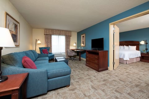 Suite, 1 King Bed, Non Smoking | Living area | 32-inch flat-screen TV with satellite channels, TV