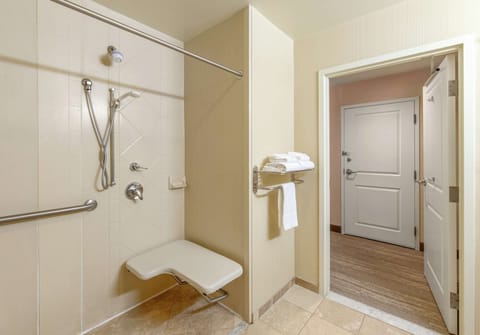 Room, 1 King Bed, Accessible, Non Smoking | Bathroom shower