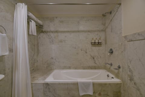 Vasundhara Room | Private spa tub