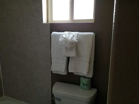 Basic Single Room | Bathroom | Combined shower/tub, free toiletries, towels